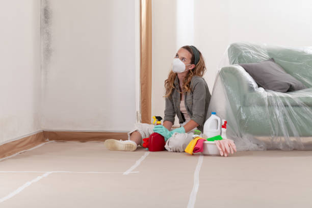 Reliable Mold Removal contractor in Reading, MA by WQB Mold Removal